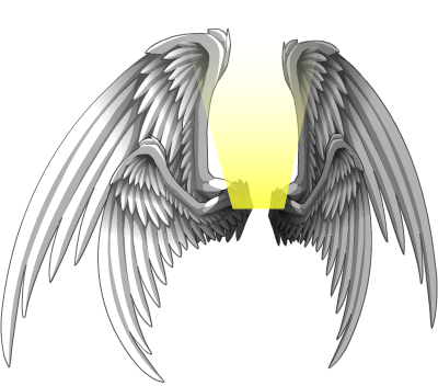 Aranx Wings